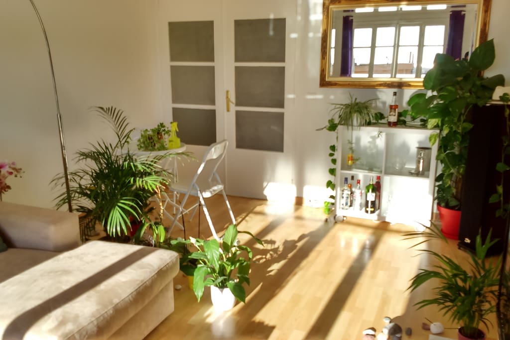 Sunny living room