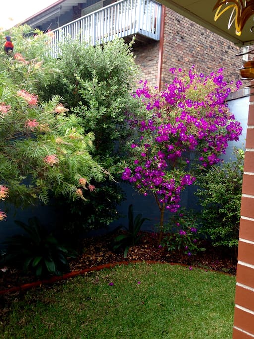 Front garden