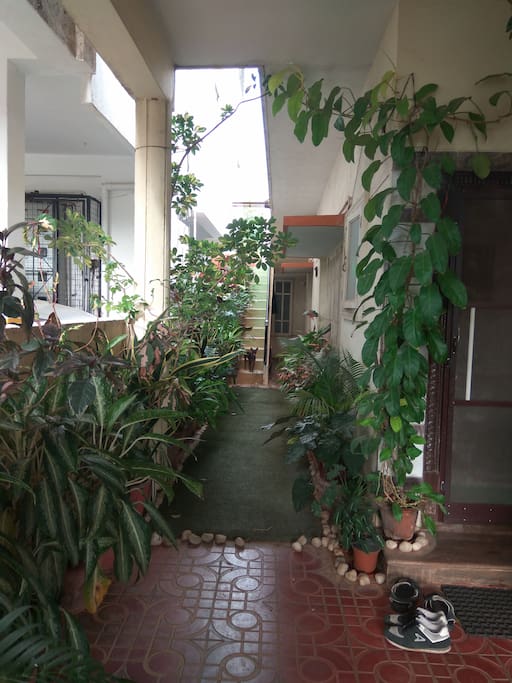 Garden area