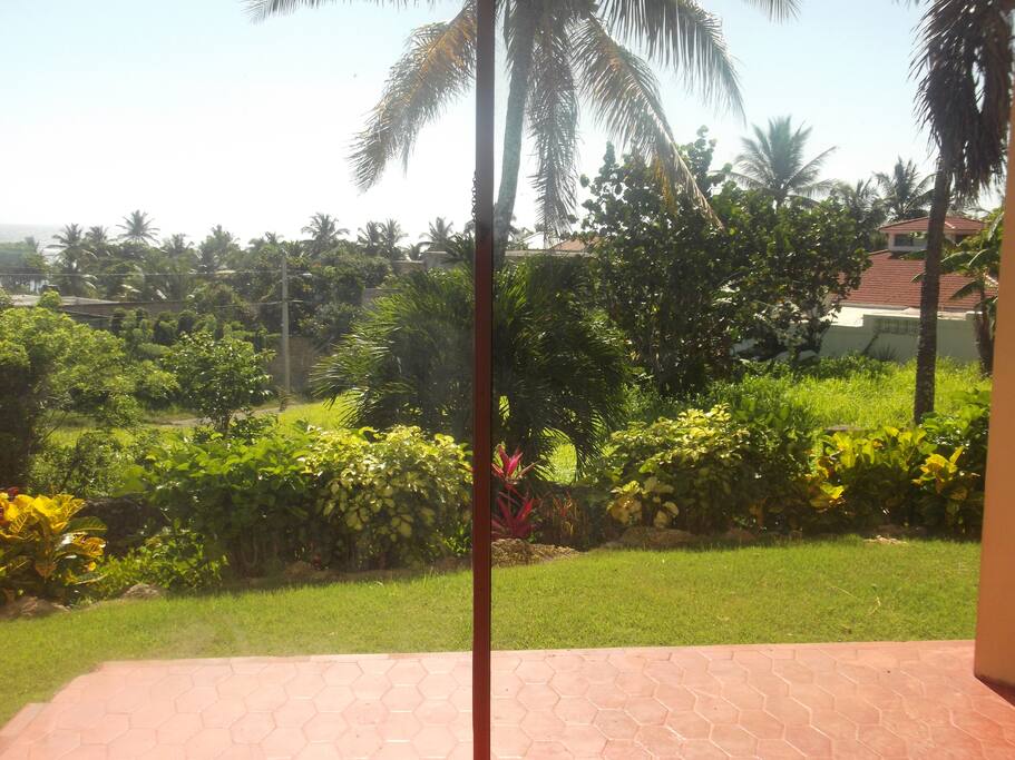 Jardin