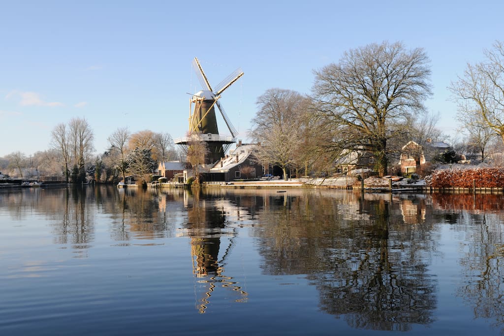 Uitzicht vanuit de tuin op de molen
