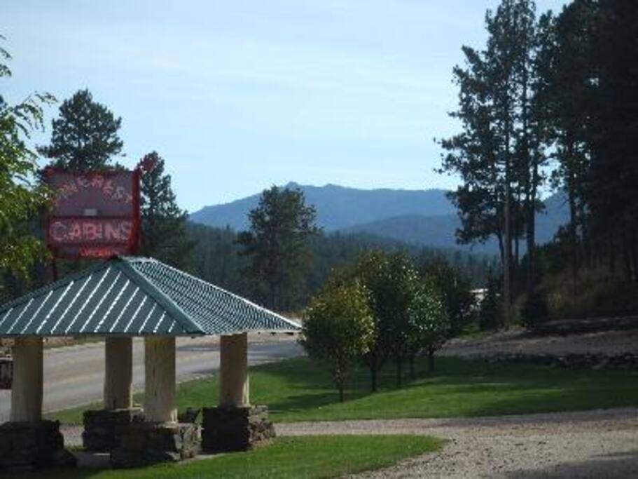 On the road to Mt. Rushmore ~ Crazy Horse~ Custer State Park