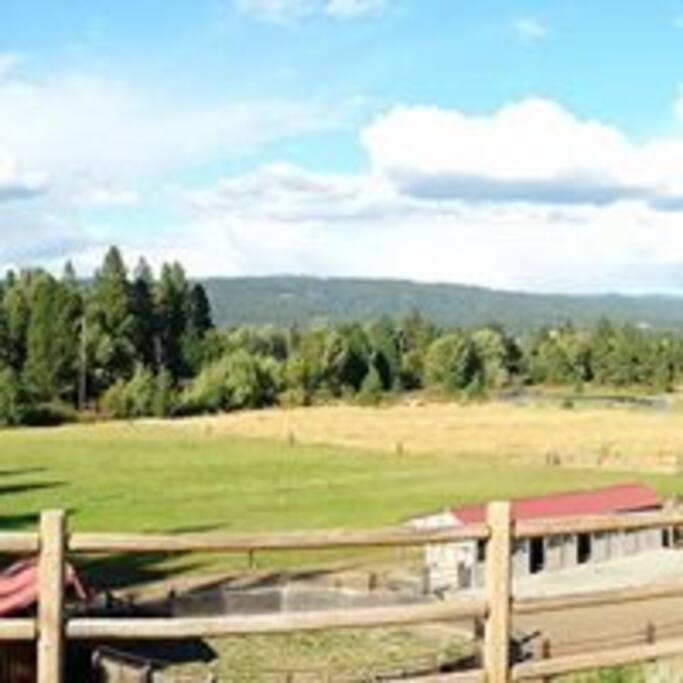 Backyard view