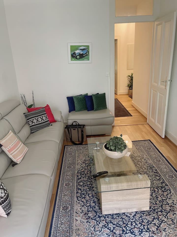 Belle Appartement Au Plain Centre  De Genève Lac - Carouge
