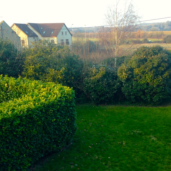 a room with a view