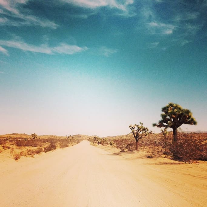 Tranquility Base lies at the end of this road :)