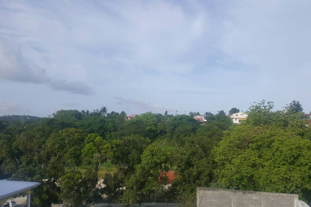 Vue dégagée