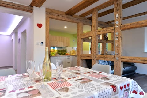 Bretzel and Manala, large gîte for 15 people