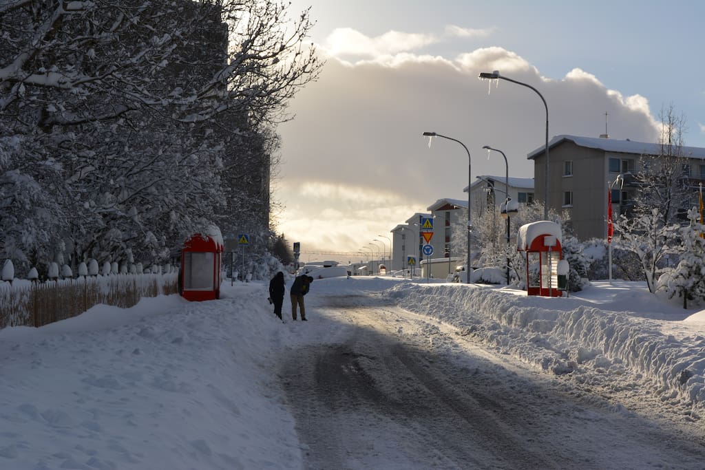 Gnoðarvogur the apartment is in the houses on the right side of the road :)