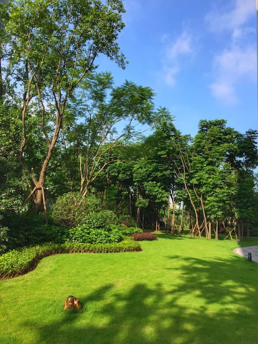 小区环境