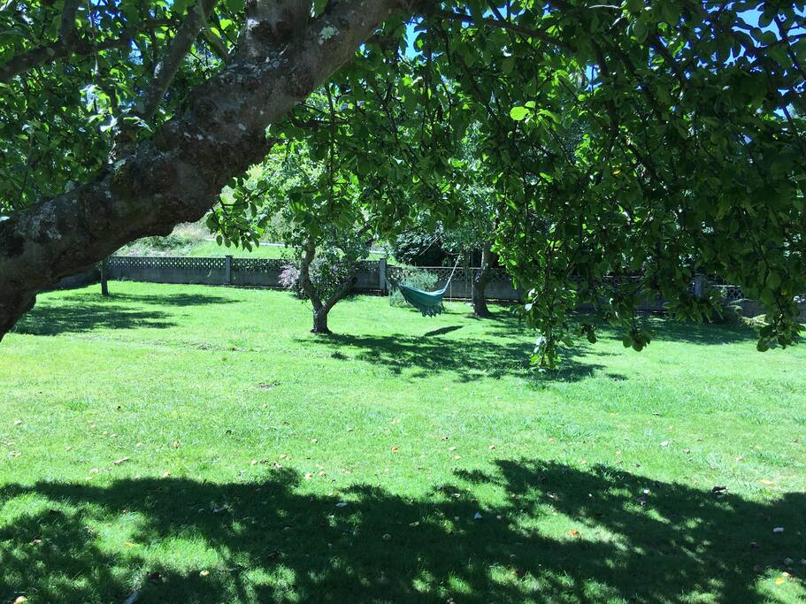Finca hamaca