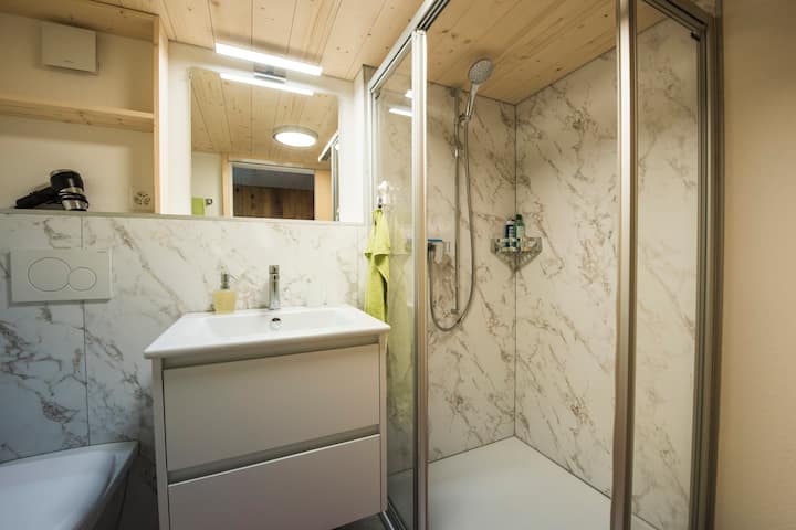 3 5 Zimmer Ferienwohnung Nussbeun In Brienz Wohnungen Zur Miete In Brienz Bern Schweiz