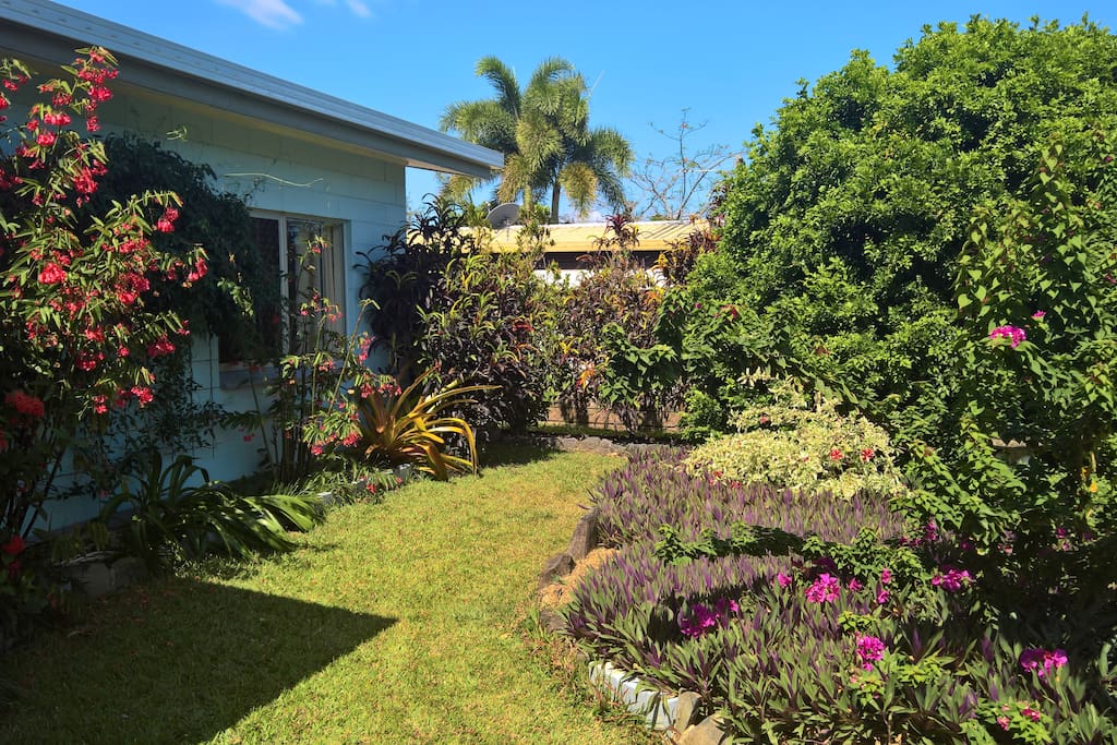 Beautiful well maintained tropical gardens