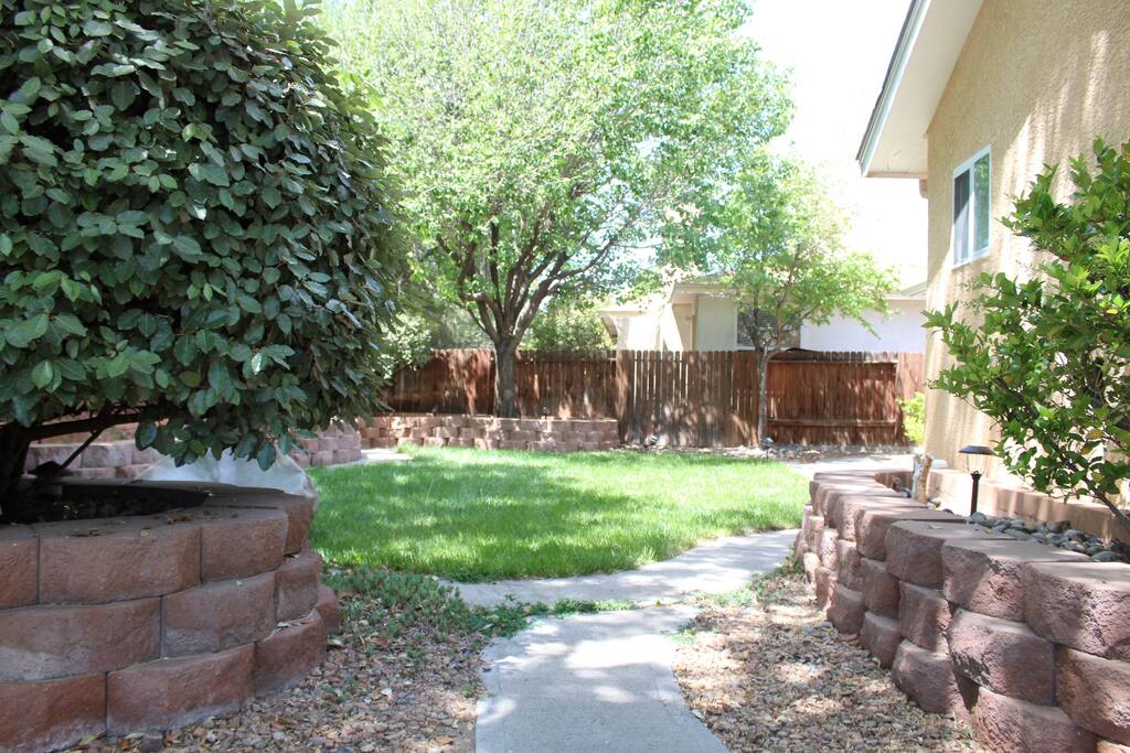 From the Lower Patio Area