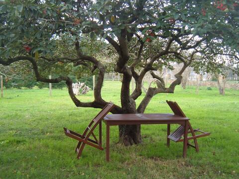 Duplex in western Asturias