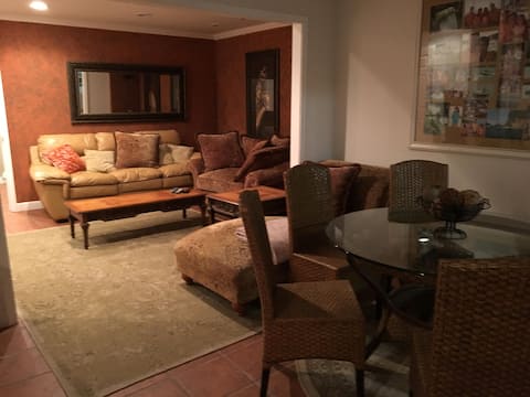 Top performing Airbnb: spacious and modern furnished basement apartment in Clemson