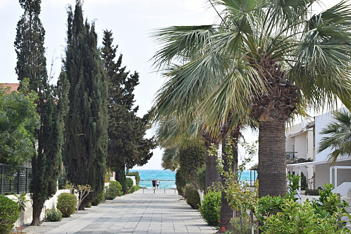 A pathway lined with palm trees and greenery leads towards the beach. The path is paved and flanked by well-maintained shrubs. In the distance, individuals can be seen strolling near the shoreline, where the sea is visible beyond the trees.