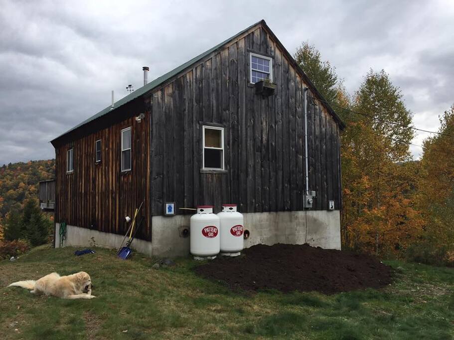 back of house as seen from driveway -angus chewing on stick not included. ;)