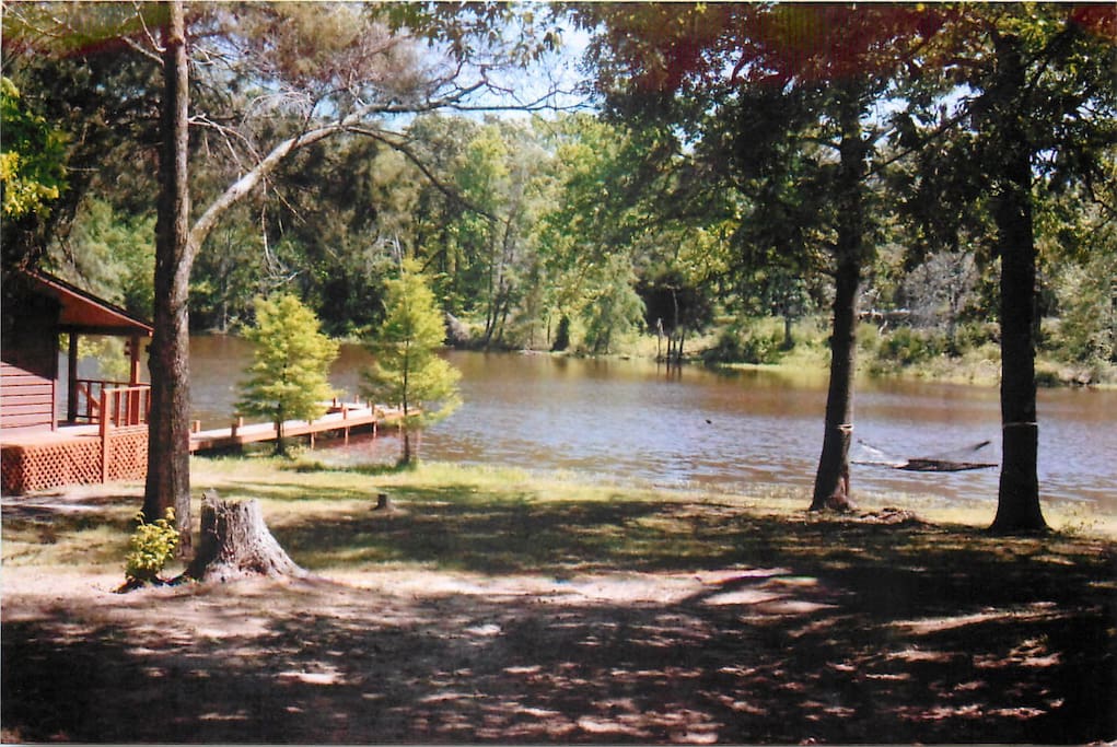 View of cabin, pier, side porch, and paved driveway.