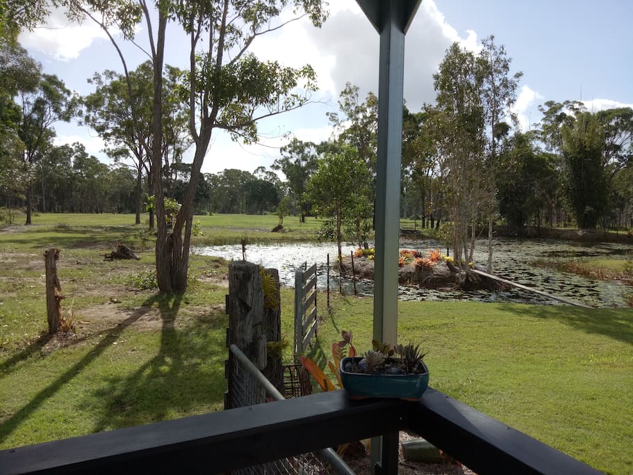 Verandah view of back pond and back fields where kangaroos often graze.