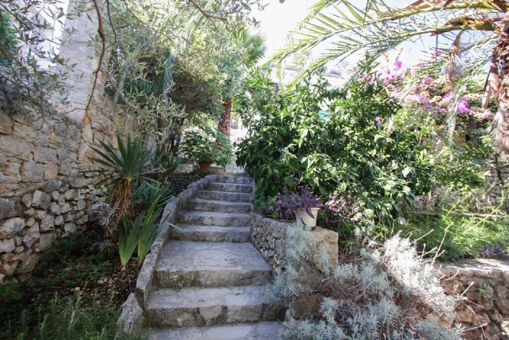staircase (house and surroundings)