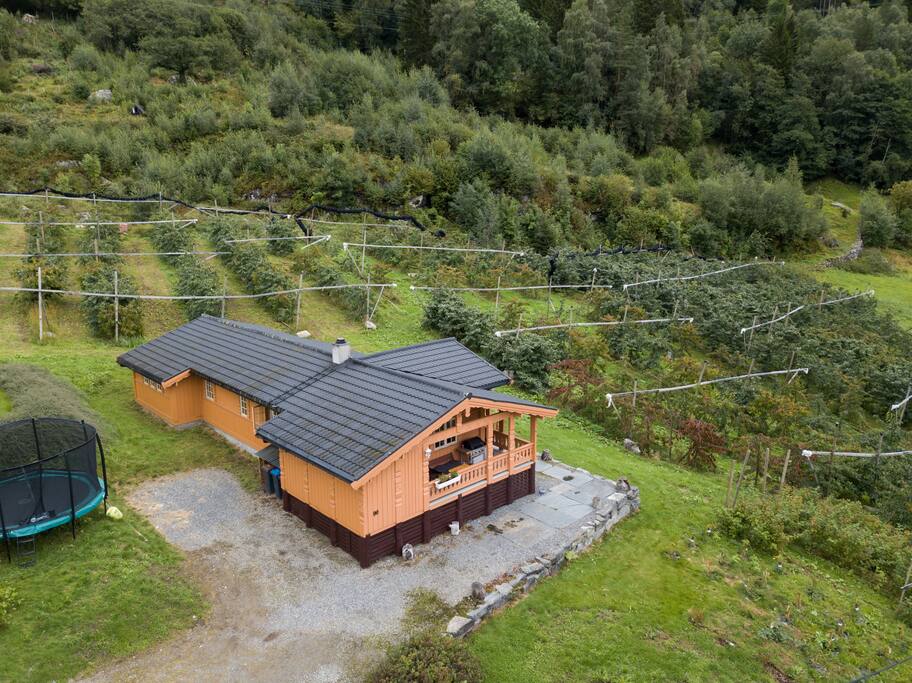The house you will be staying at