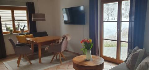 Top performing Airbnb: Apartment "Auszeit" in Mittelberg