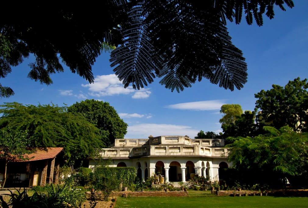 The View from the lawn