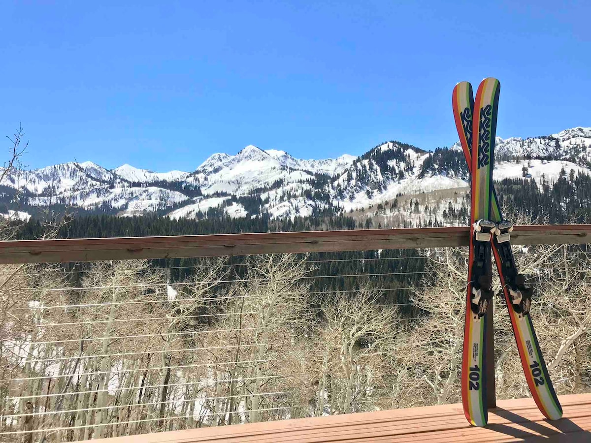 A pair of colorful skis rests against a wooden railing, overlooking a stunning mountain landscape. Snow-capped peaks are visible in the distance, with a mix of evergreen trees and white slopes in the foreground, creating a serene winter scene.