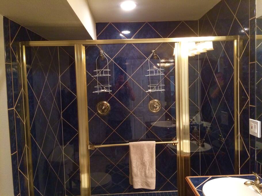 Dual showers in basement bath