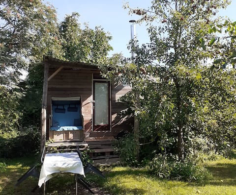 Tiny house with fireplace