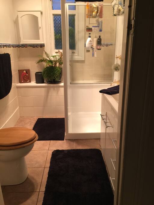 Downstairs bathroom