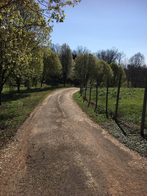 Driveway