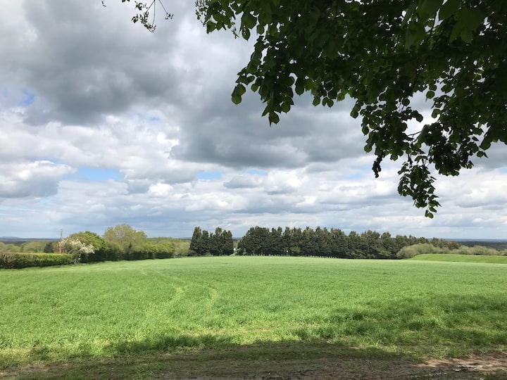 The Nest in South Downs photo 5