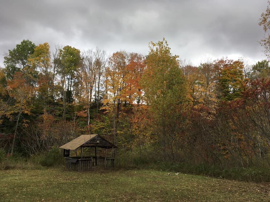 Our backyard...the open meadow in the fall (a great time to visit)