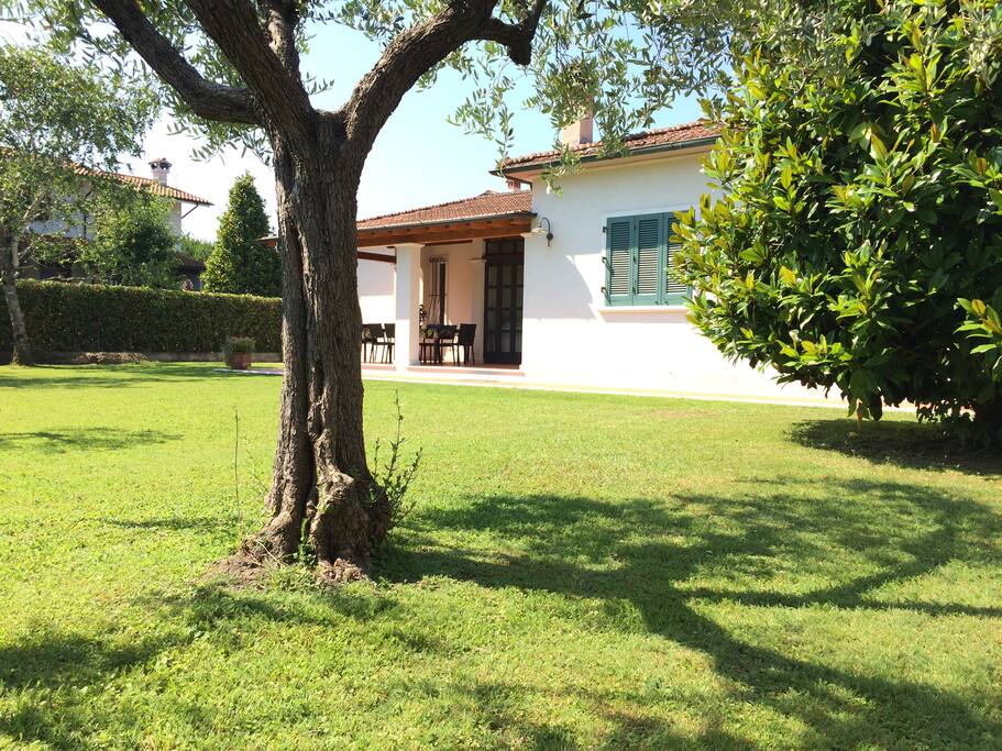 Giardino
