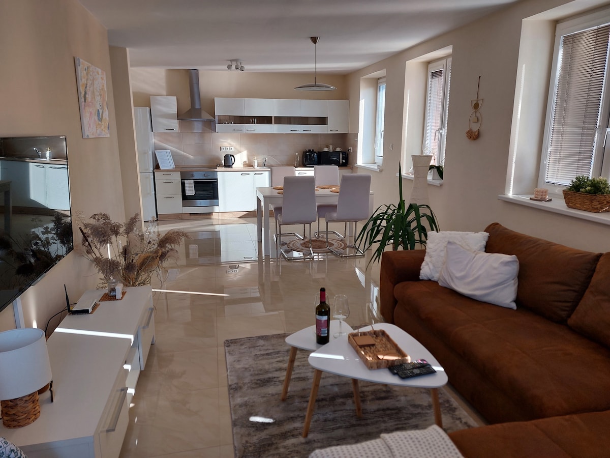 A modern living space showcases a comfortable brown sofa, paired with a light coffee table. A dining area with white chairs is visible in the background, along with a fully equipped kitchen featuring sleek cabinetry and appliances. Natural light floods through the large windows.