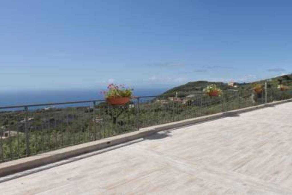 Top terrace