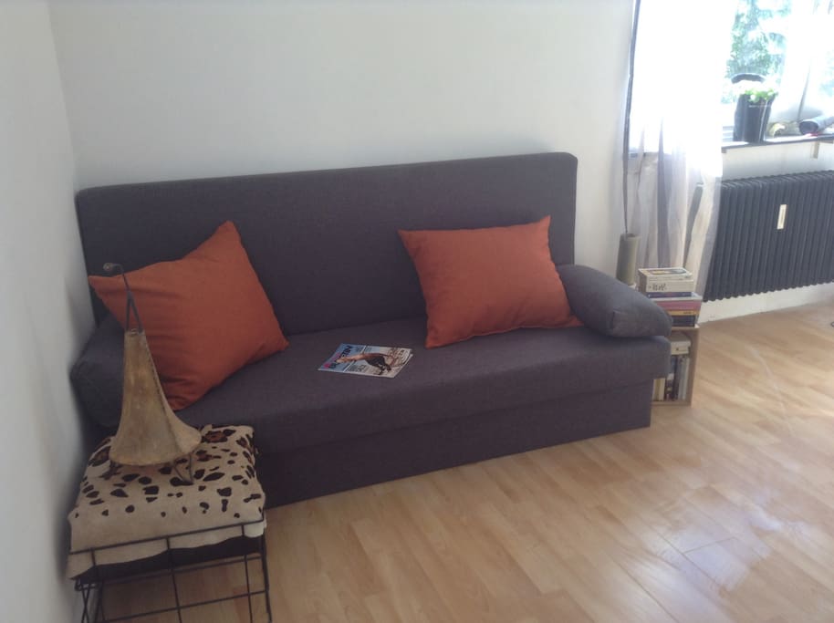 One ( of two) extendable sofa beds