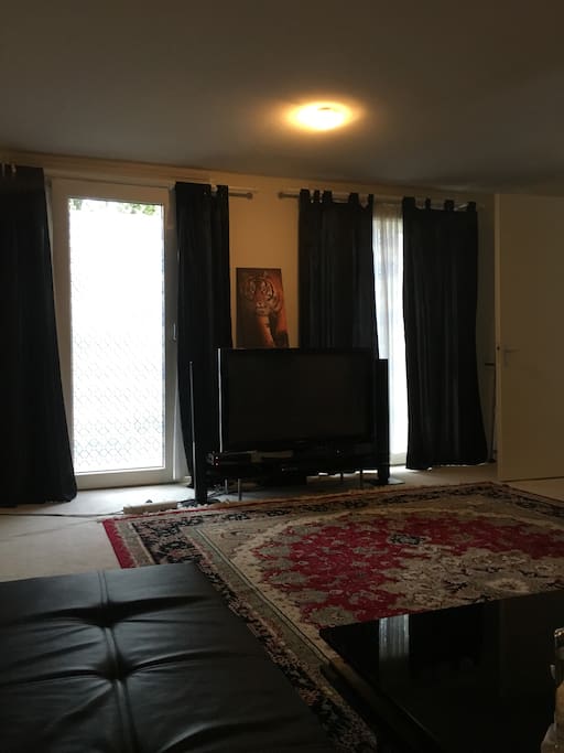 A Persian carpet with a lot of design the TV and sound system with