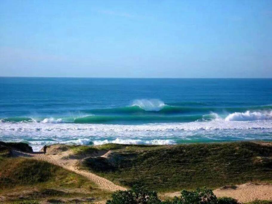 A 500 metros da praia do Rio Tavares. Pico da Cruz.