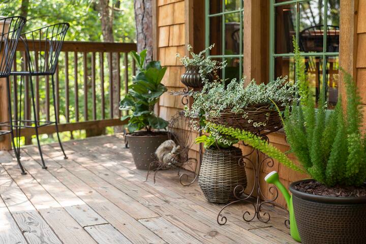 Pull up a chair in the evening to hear a cacophony of nature's sounds and sights
Credit: Dickersonarts.com