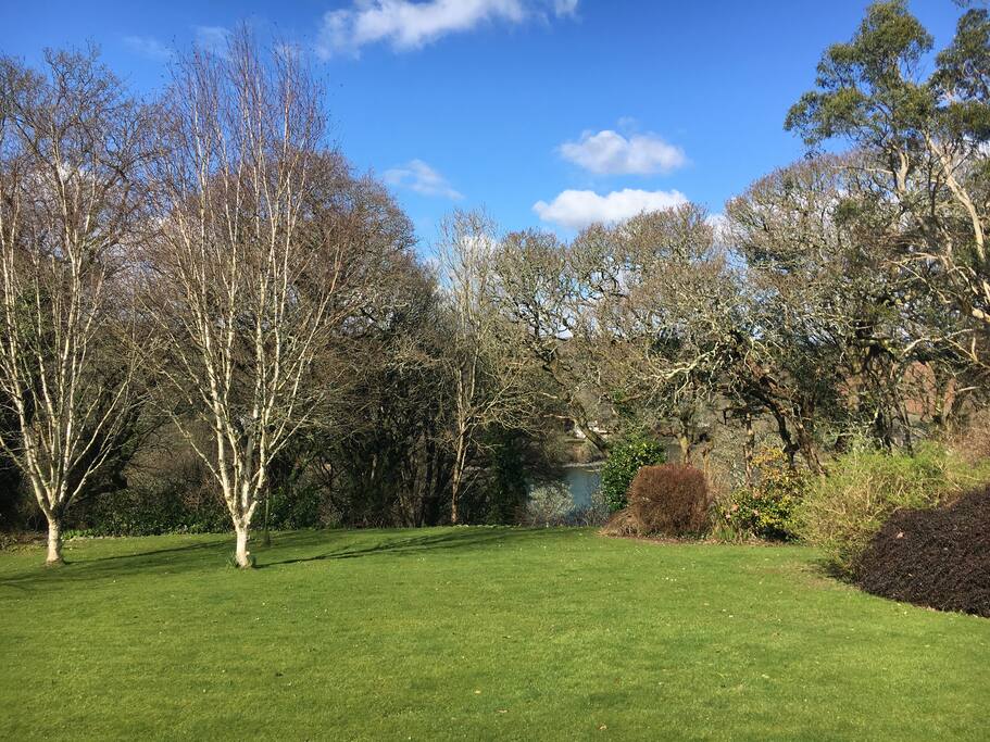 Rear garden with glimpses of Port Navas creek