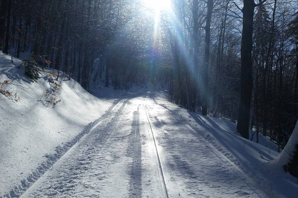 trials on property groomed for walking