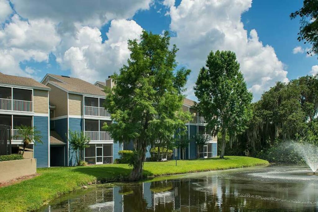 View Of The Building