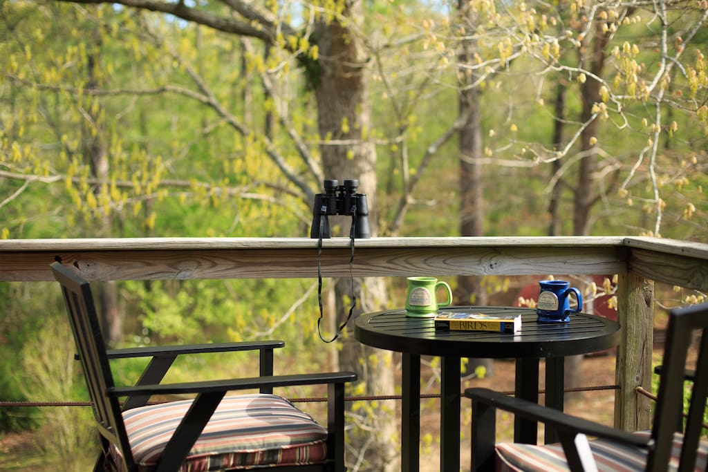 Private outdoor deck off the bathroom