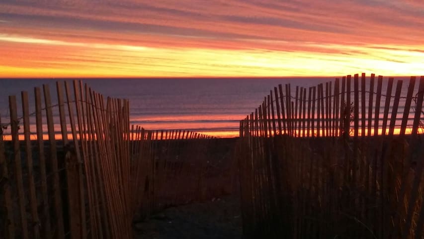 Private bedroom-walk to beach, ferry* to Boston!