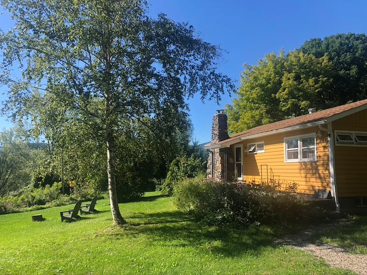 Midcentury Catskills Mountain House with View Houses for Rent in
