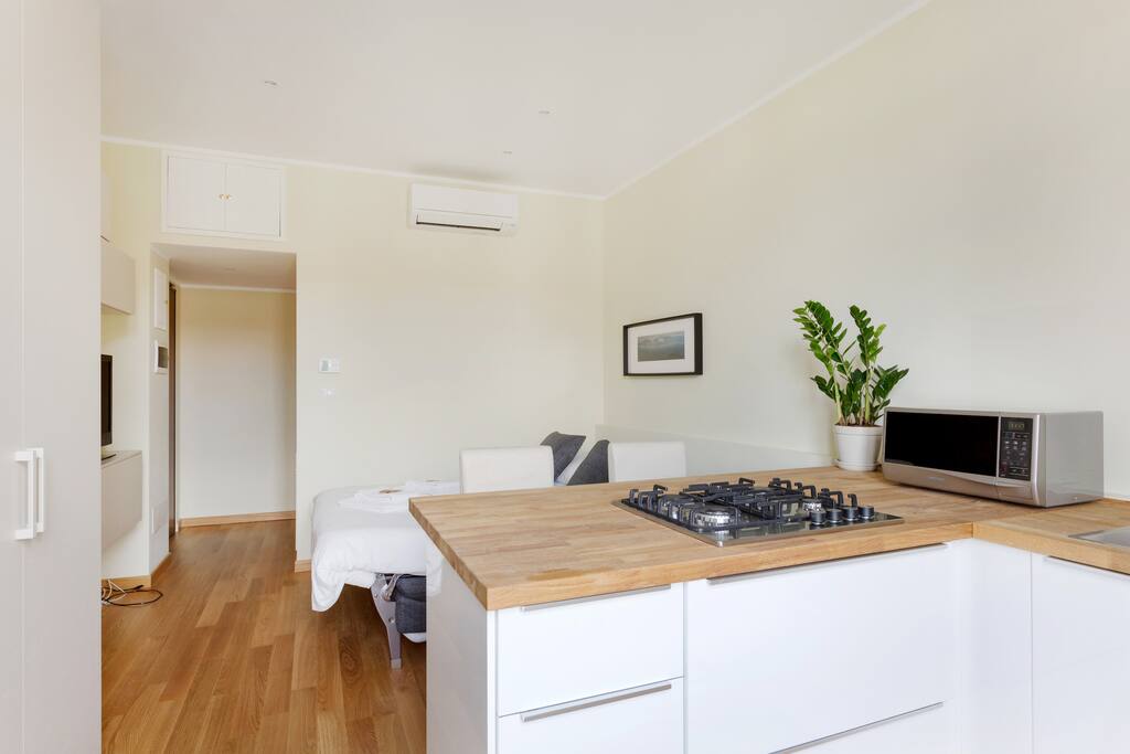 The living room| the Bedroom: the comfortable double sofa bed with soft bed-linen and towels & the equipped kitchen (+ the dining table, TV)