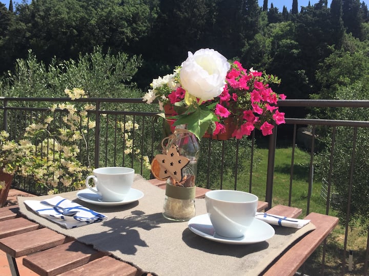 Apt Big Terrace Near Florence - Calenzano